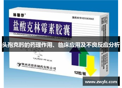 头孢克肟的药理作用、临床应用及不良反应分析
