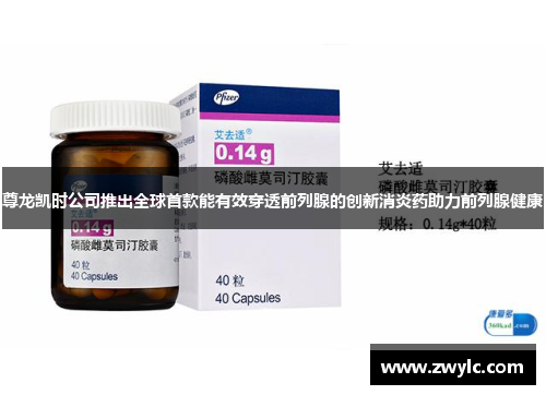 尊龙凯时公司推出全球首款能有效穿透前列腺的创新消炎药助力前列腺健康